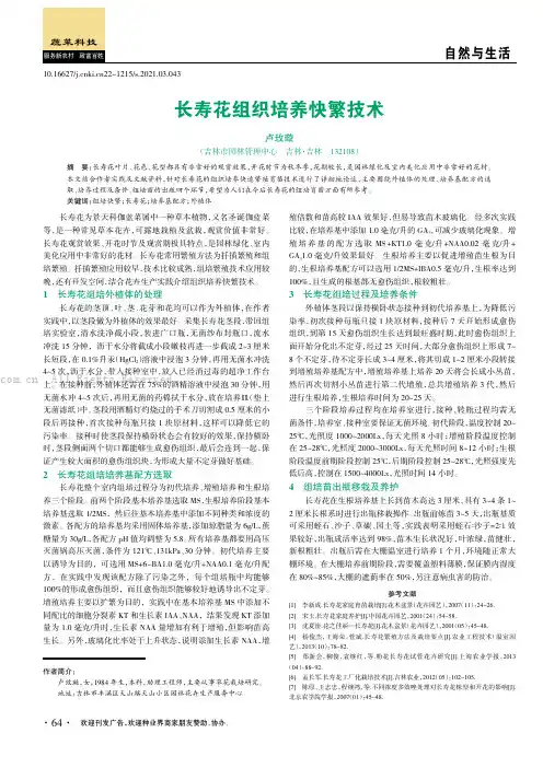 长寿花组织培养快繁技术