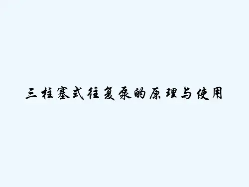 三柱塞式往复泵的原理与使用 PPT