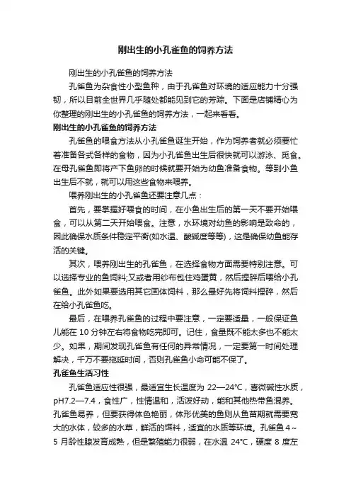 刚出生的小孔雀鱼的饲养方法