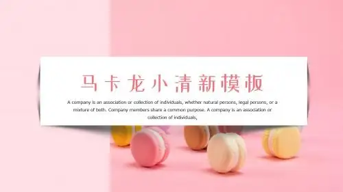 小清新马卡龙总结计划ppt模板