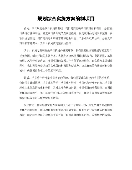 规划综合实施方案编制项目