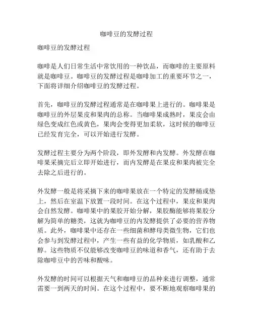 咖啡豆的发酵过程