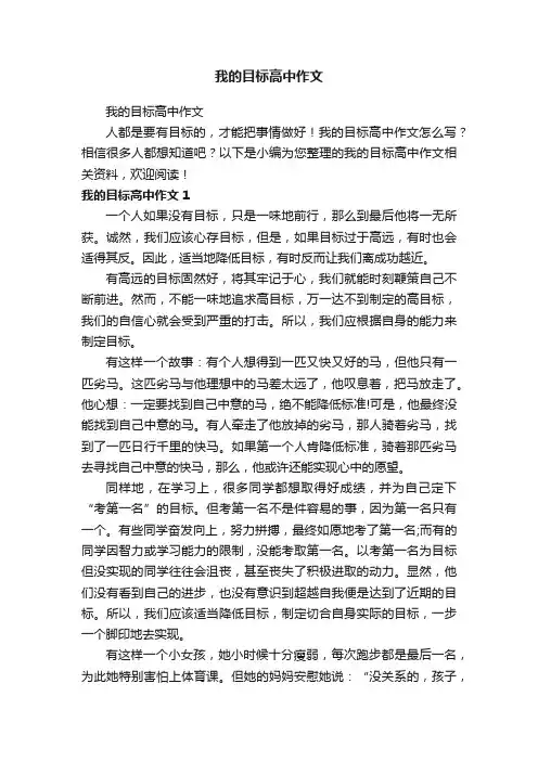 我的目标高中作文