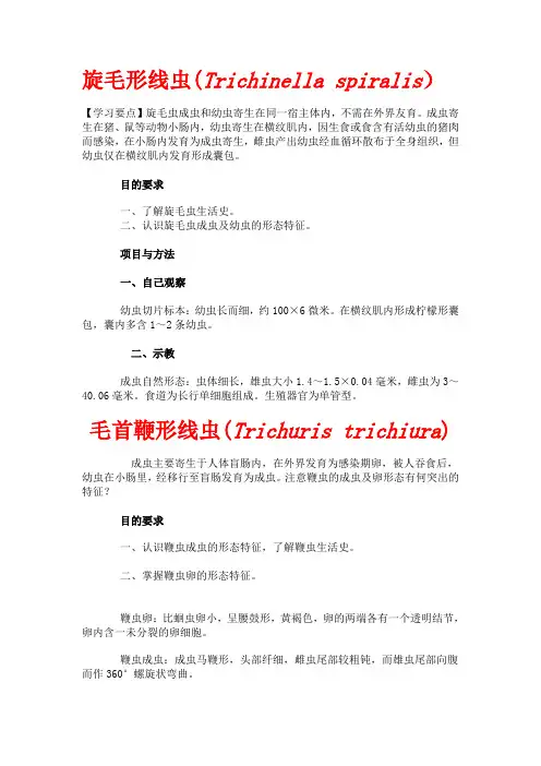 线虫重点