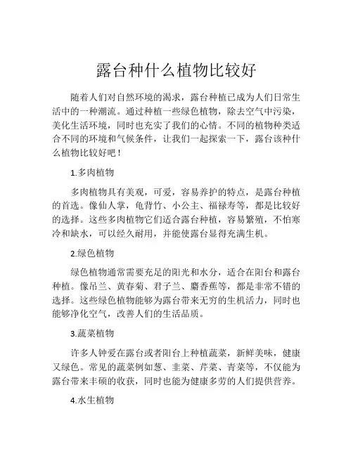 露台种什么植物比较好