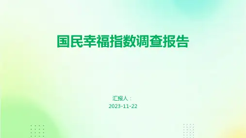 国民幸福指数调查报告
