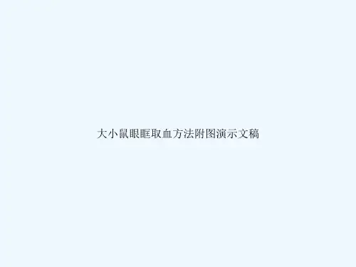 大小鼠眼眶取血方法附图演示文稿