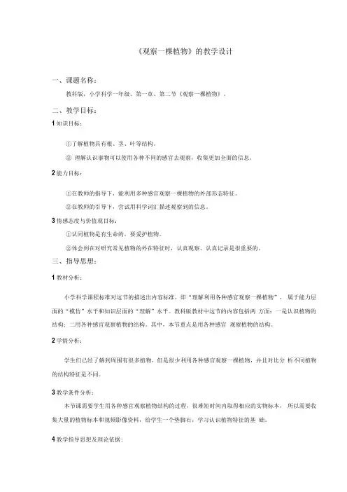观察一棵植物 教学设计