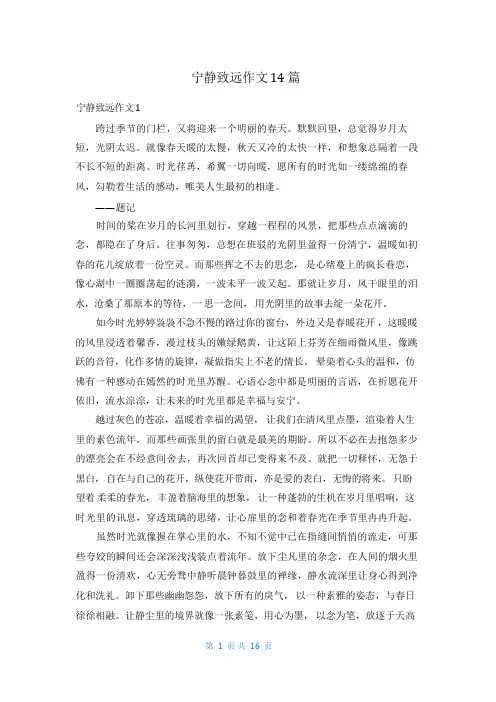 宁静致远作文14篇