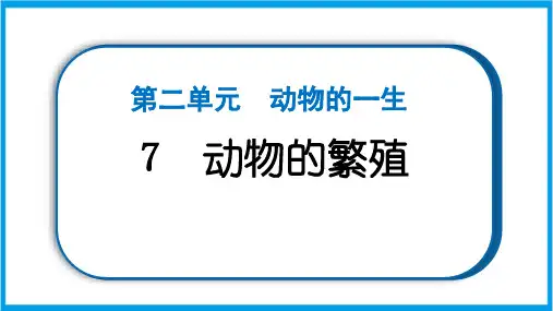 新教科版三年级下册科学 2-7 动物的繁殖 重点题型练习课件