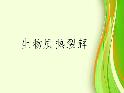 生物质热裂解
