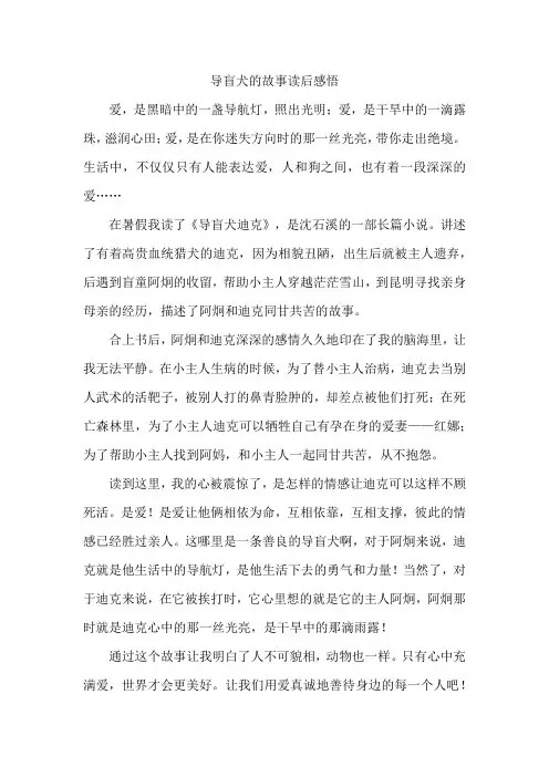 导盲犬的故事读后感悟