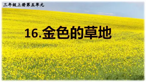 三年级语文上册第五单元  金色的草地  PPT课件