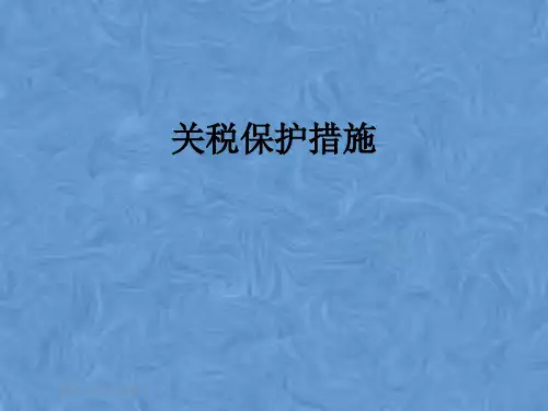 关税保护措施