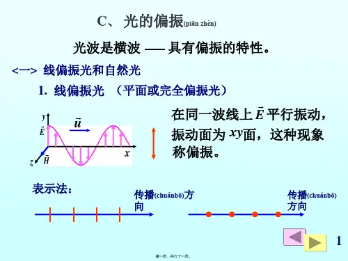 13C光的偏振