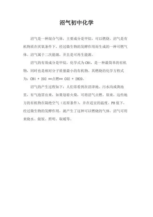 沼气初中化学