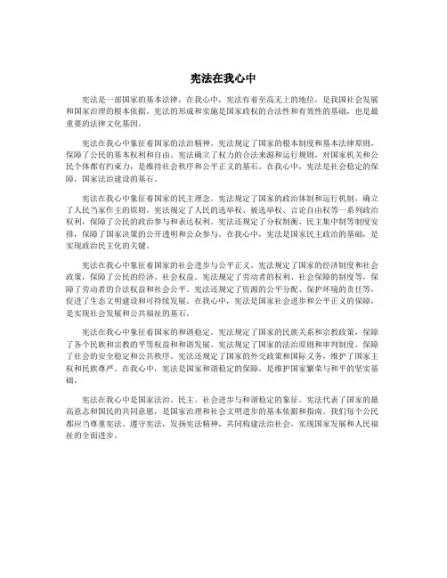 宪法在我心中