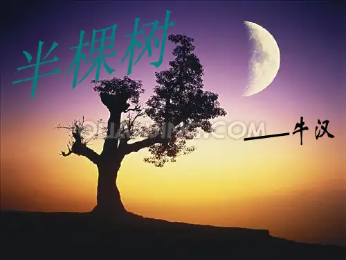 半棵树--牛汉