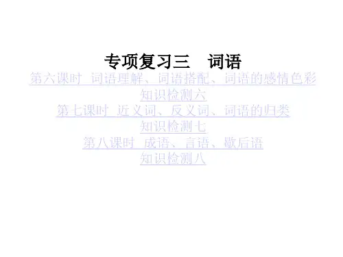语文小升初小学语文专项复习词语复习课件