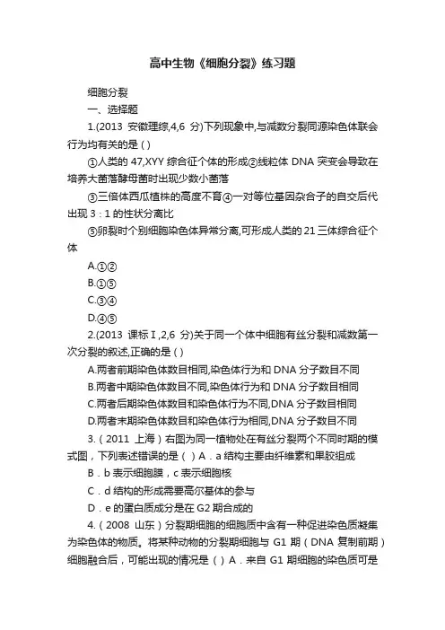 高中生物《细胞分裂》练习题