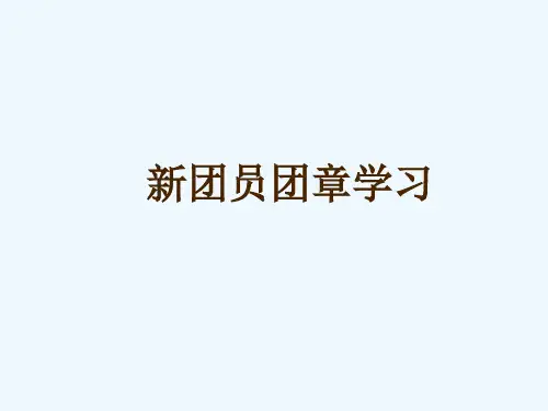 共青团团章