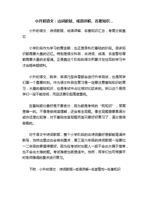 小升初语文：诗词歌赋、成语详解、名著知识...