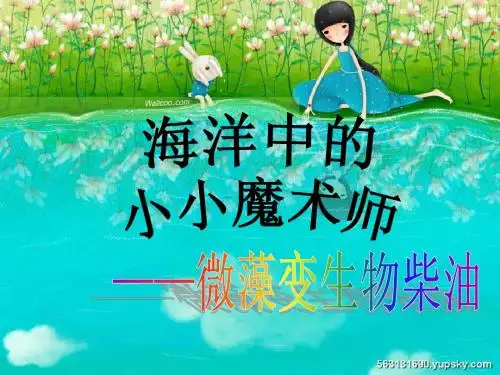 微藻变生物柴油