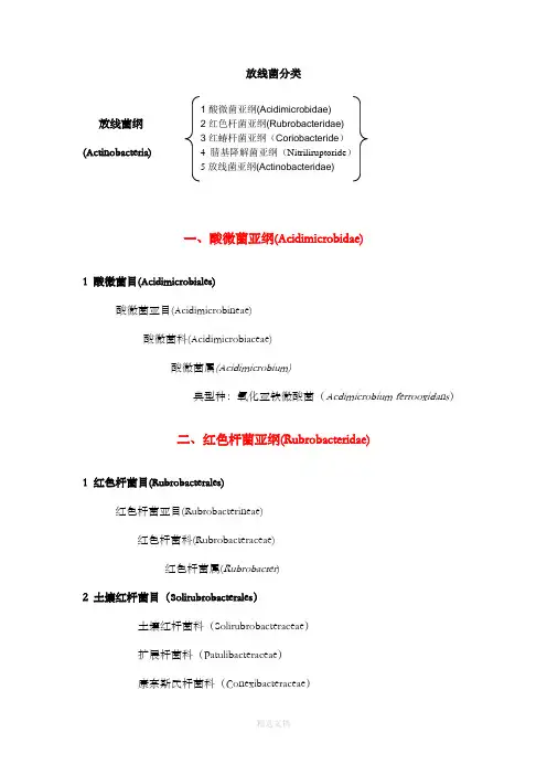 放线菌分类-完整