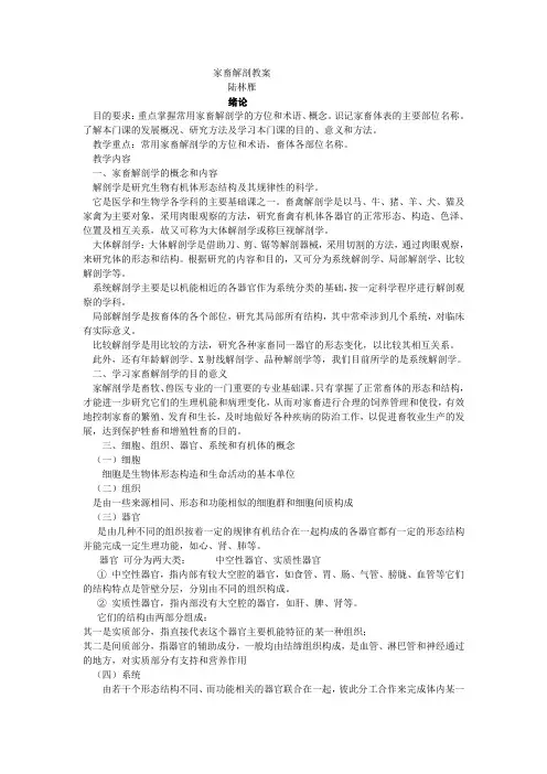 2019年家畜解剖教案.doc
