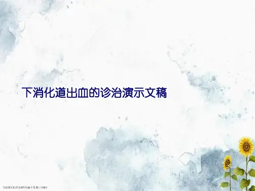 下消化道出血的诊治演示文稿