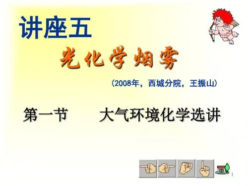 光化学烟雾(2008年,西城分院,王振山)