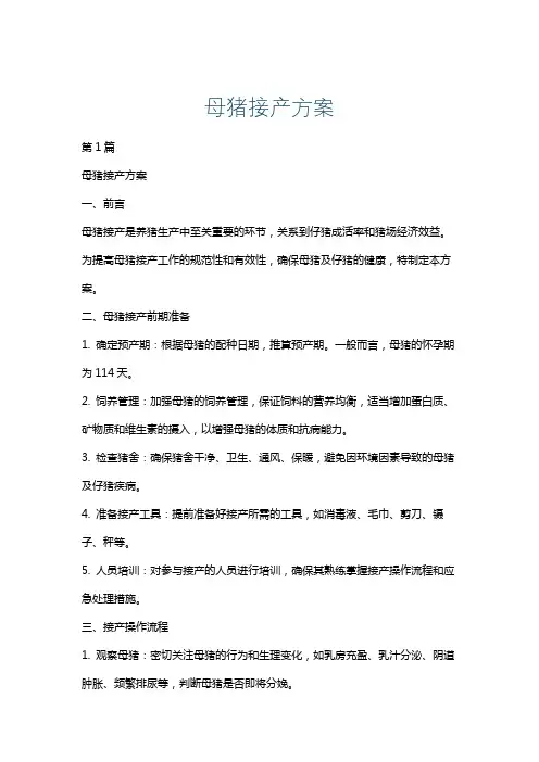 母猪接产方案