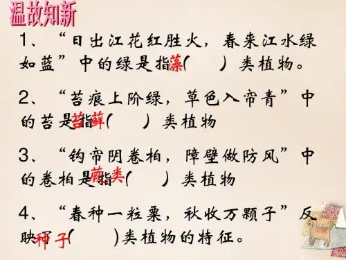 六年级生物下册 第三单元 第一章 第三节 种子植物教学课件 鲁科版(五四制)