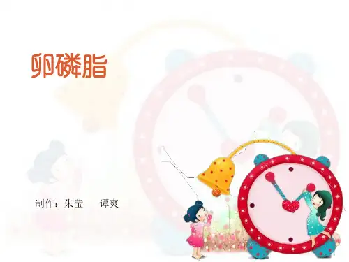 卵磷脂的简介讲解
