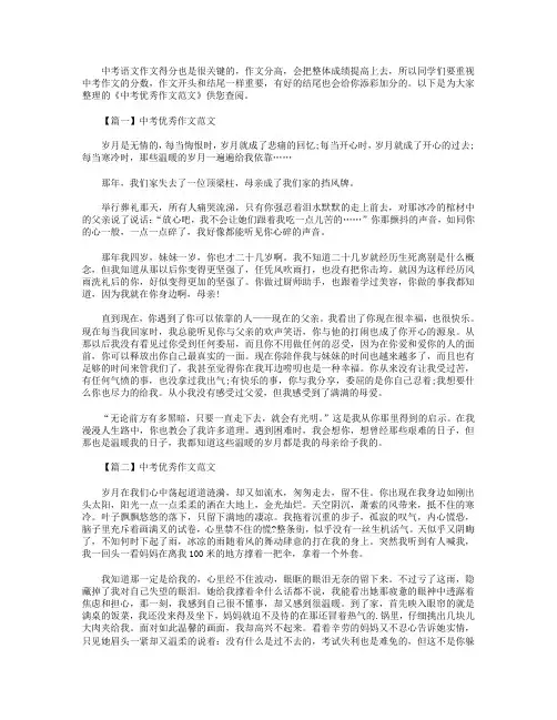 中考优秀作文范文：温暖了我的岁月
