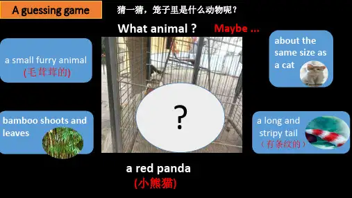五年级绘本阅读The Red Panda Gang 课件