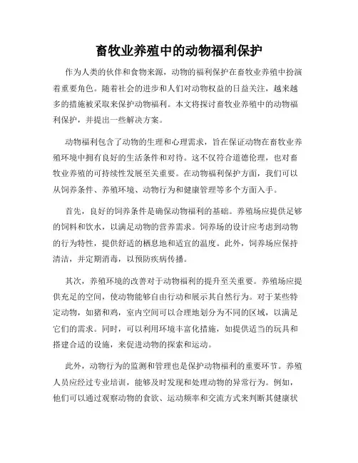 畜牧业养殖中的动物福利保护