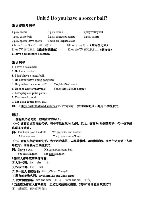 人教版七年级上册英语Unit 5 Do you have a soccer ball