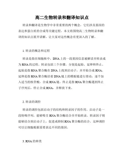 高二生物转录和翻译知识点