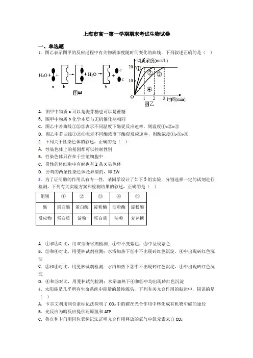 上海市高一第一学期期末考试生物试卷