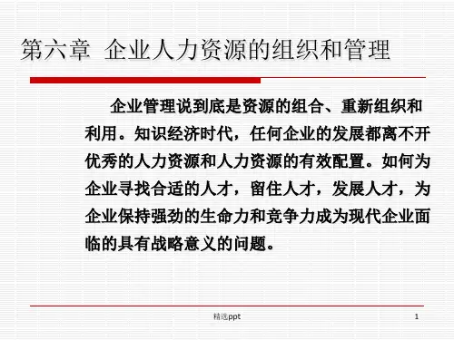 人力资源的组织和管理