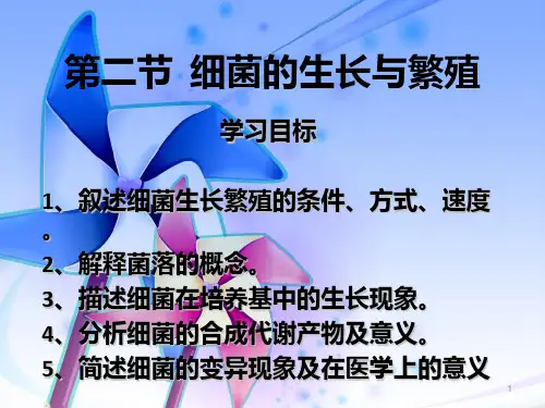 第二章 23节  细菌的生长与繁殖PPT课件