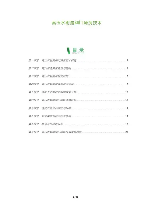 22_高压水射流阀门清洗技术