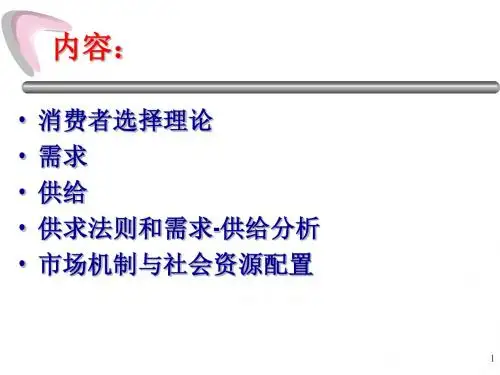 消费者选择及需求(ppt66张)