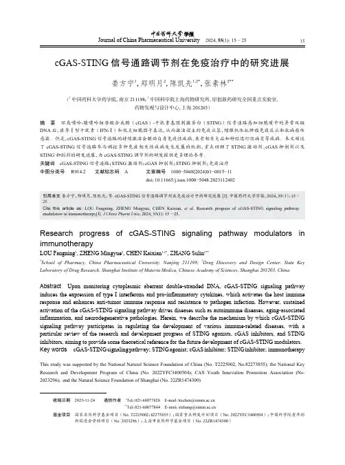 cGAS-STING信号通路调节剂在免疫治疗中的研究进展