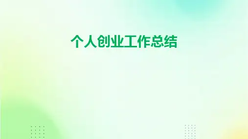 个人创业工作总结PPT