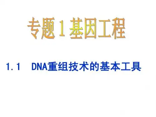 1.1 DNA重组技术的基本工具