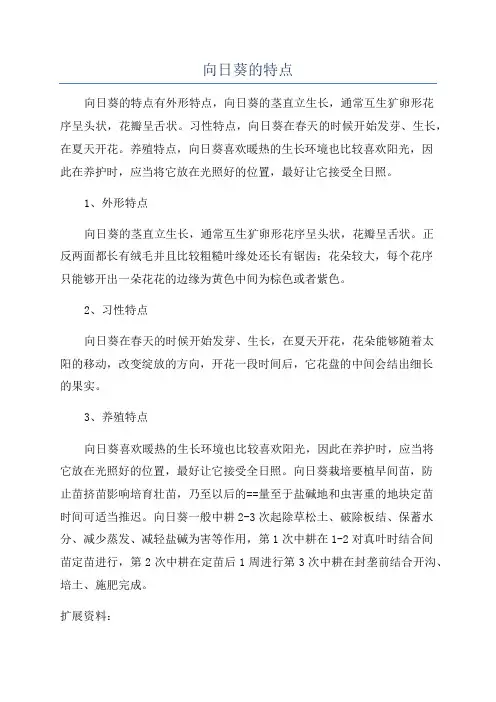 向日葵的特点