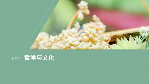 2024届高考一轮复习政治课件(部编版)：主观题对“正确发挥主观能动性”的考查