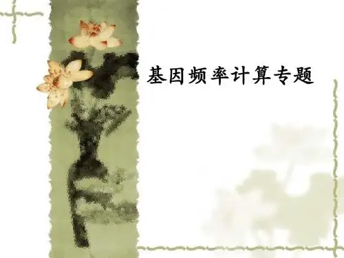 基因频率计算